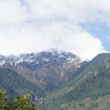 Himalayan Woods Cottage 马拉里 外观 照片